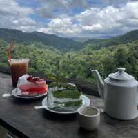 ไร่ชาลุงเดช🍵
