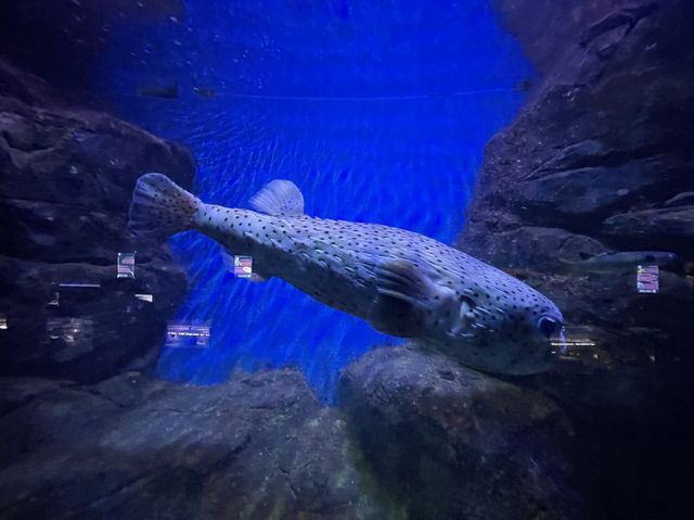 Underwater World@Langkawi