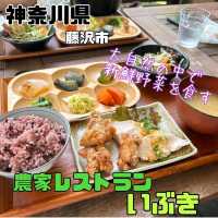 【神奈川県/藤沢市】農家レストランいぶき