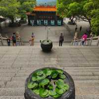 Magnificent Hongfa Temple