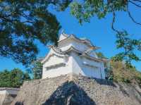 ปราสาทโอซาก้า (Osaka Castle)
