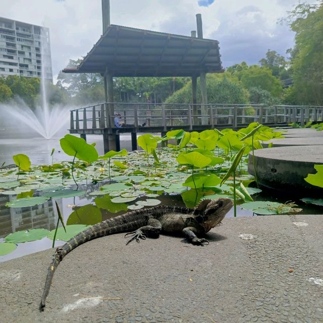 Roma Street Parkland Brisbane