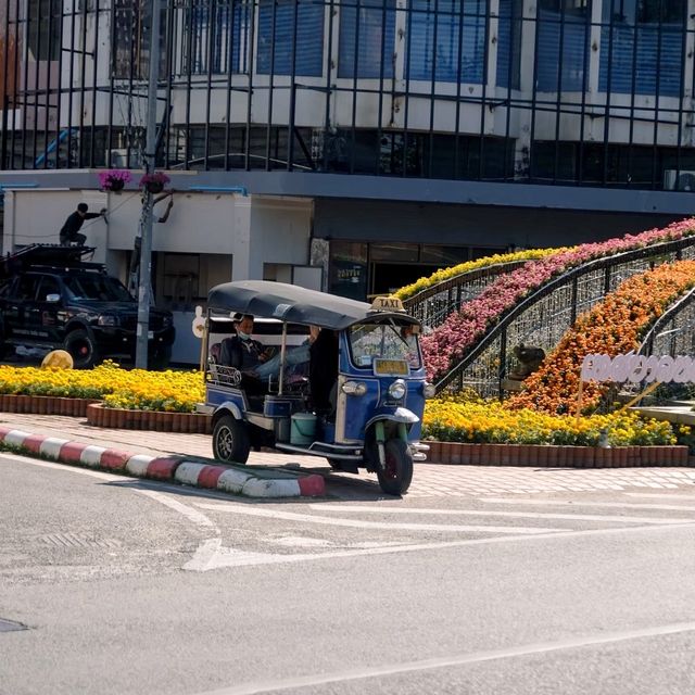 เดินเล่น ถ่ายรูป ย่านประตูท่าแพ เชียงใหม่
