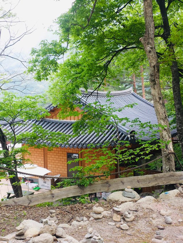 [Tradition Korean Culture]⭐️National Park⭐️