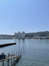 【神奈川県/東叶神社】東西の浦賀にある神社