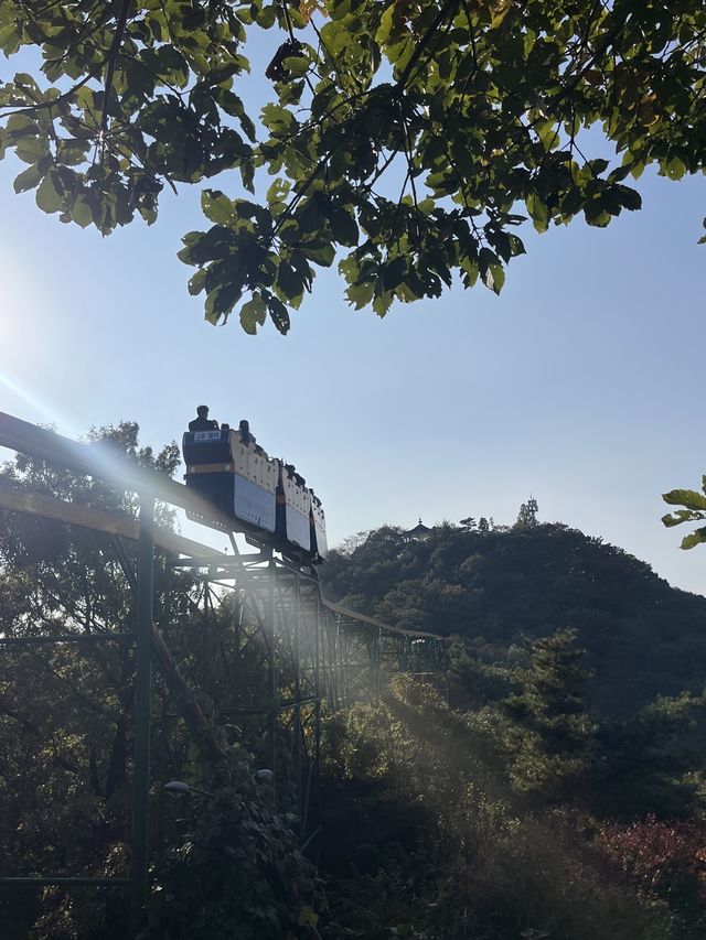 단풍구경하며 모노레일 탈 수 있는 여행지