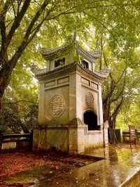 The Beautiful Bai Dinh Pagoda 🇻🇳