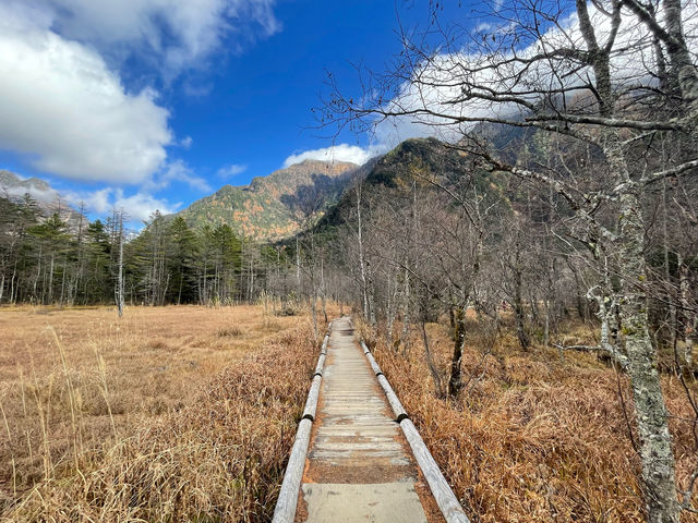 日本上高地🌲🍂