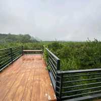 แอ่วสวนส้มปรีชา
(Preecha Farm)