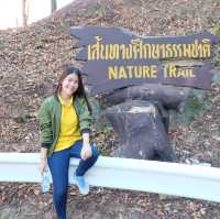 หนาวนี้ไม่เหงามาเที่ยวเขาแหลมหญ้า ระยอง