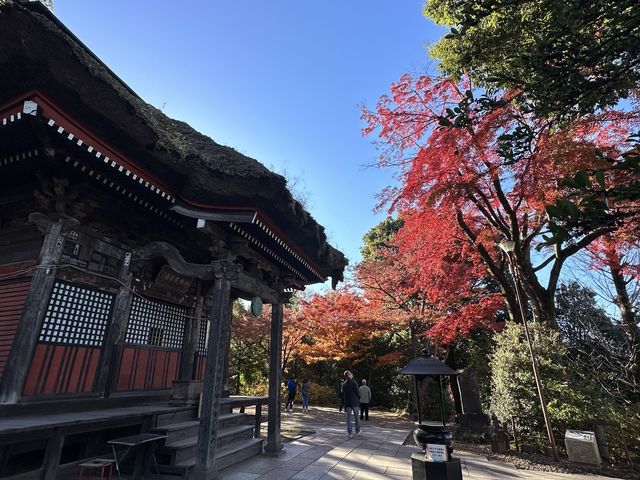 日本高崎市達磨寺 觀音山