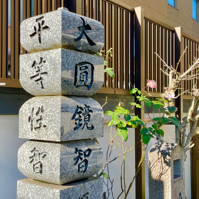 Tranquil Temples: Fukuoka's Zen Escape