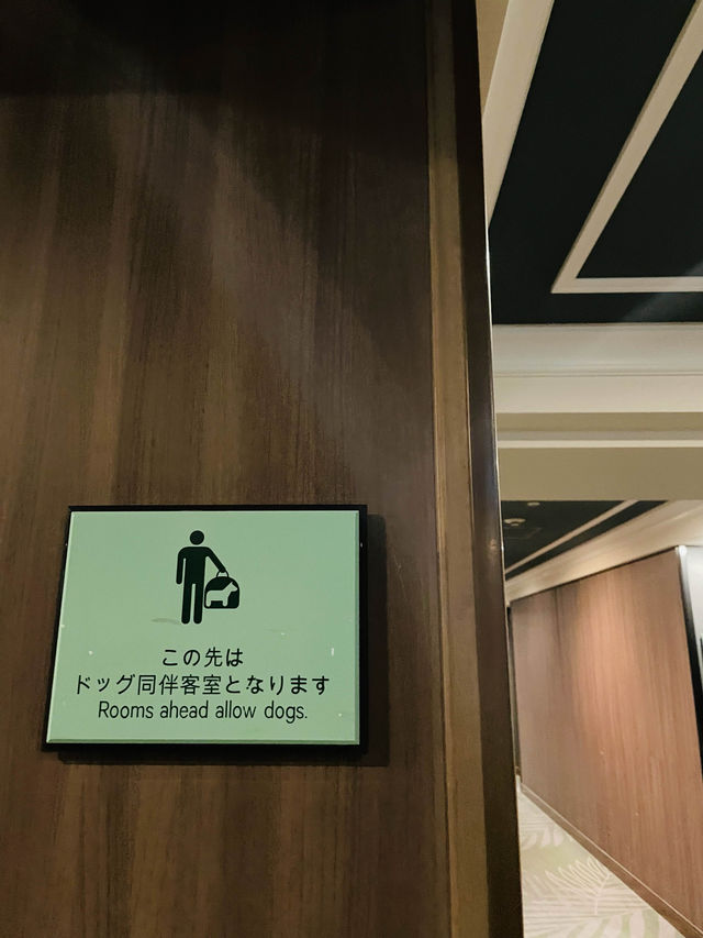 【千葉県】シェラトン・グランデ・トーキョーベイ・ホテルで過ごす休日