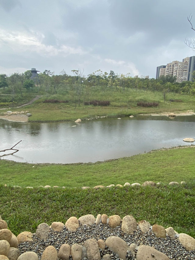 桃園 大湳森林公園🌳 綠色空閒大地