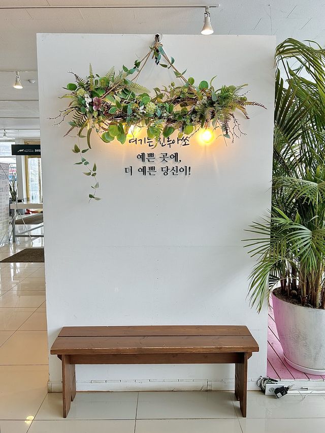가평의 애견동반 대형카페☕️🐶