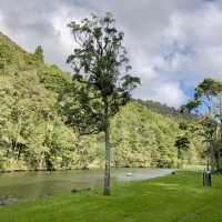Whangārei Wonders: Nature's Embrace Beckons