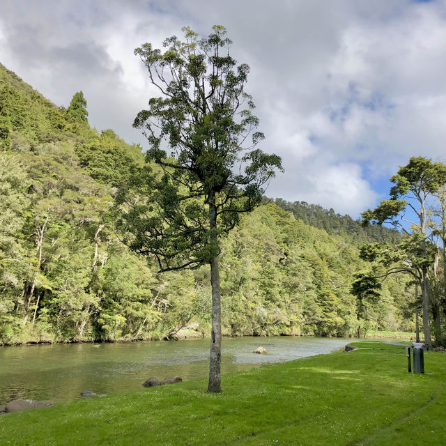 Whangārei Wonders: Nature's Embrace Beckons