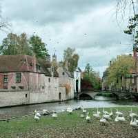 Bruges: Timeless Charm Along Canals