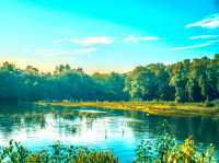 Sungei Buloh Wetland Reserve