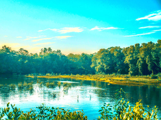 Sungei Buloh Wetland Reserve