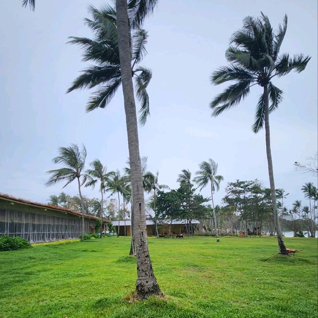 여유있는 혼똠섬 🏖해변