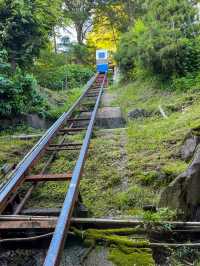 登山電車で行く！サウナ