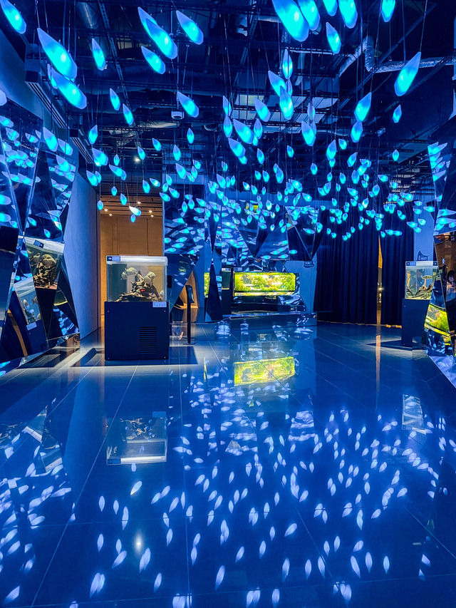 【兵庫】新感覚！アクアリウムとアートが融合した都市型水族館