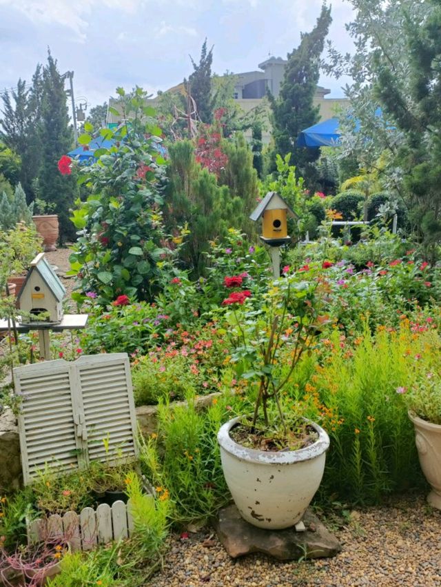Maison Sukho café in Korat.