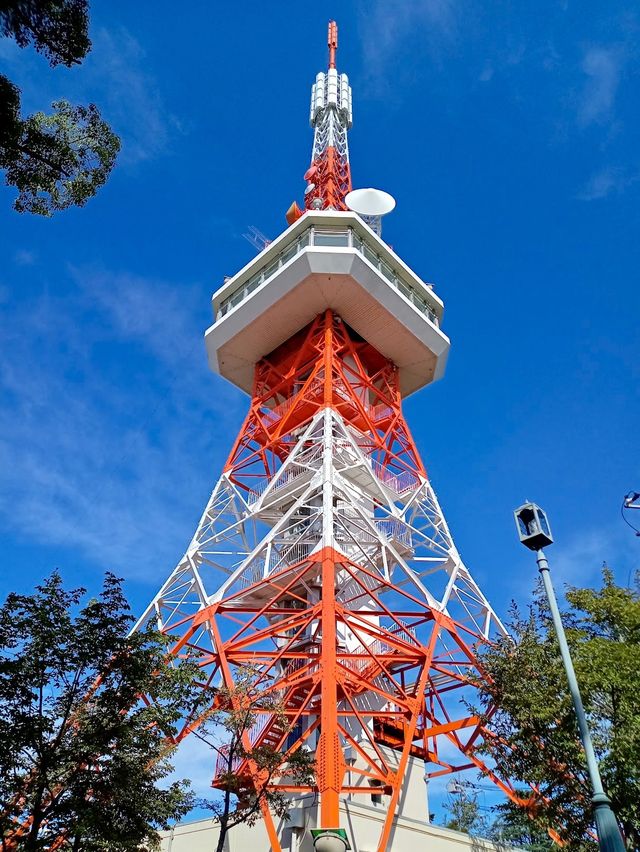 Hachimanyama Park Utsunomiya Tower