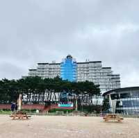 🏖️ 안면도 : 🌅 노을 맛집!! 아일랜드 리솜💙😍