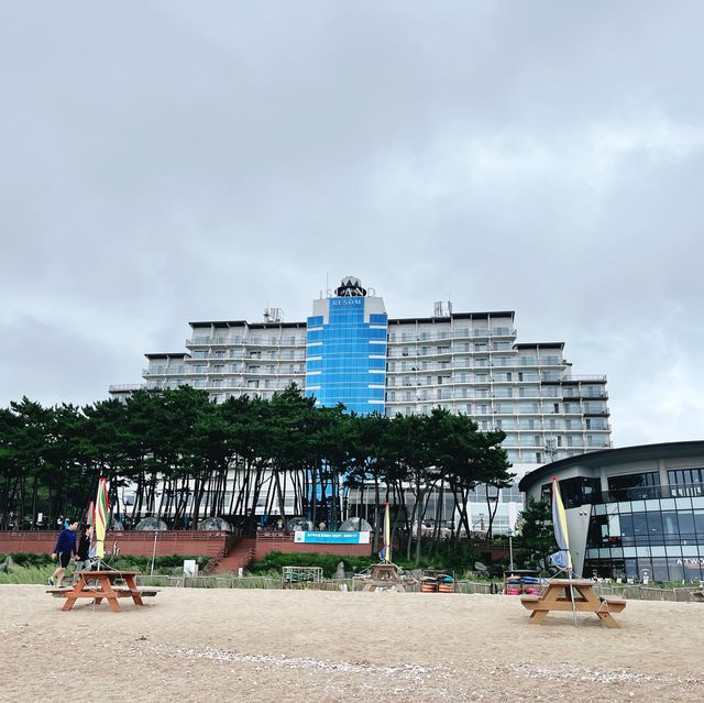 🏖️ 안면도 : 🌅 노을 맛집!! 아일랜드 리솜💙😍