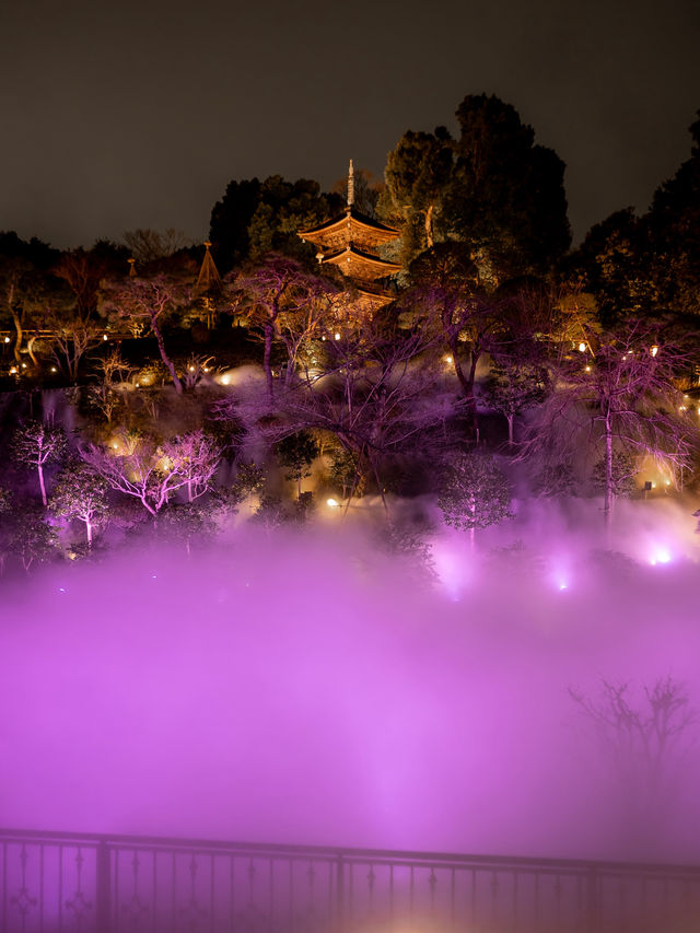 【春色に染められた雲海！☁️】椿山荘の桜雲海が幻想的すぎる🌸✨