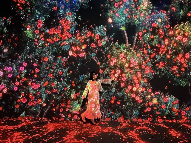 影相好去處！北角K11光影藝術館ʕ •ᴥ•ʔ