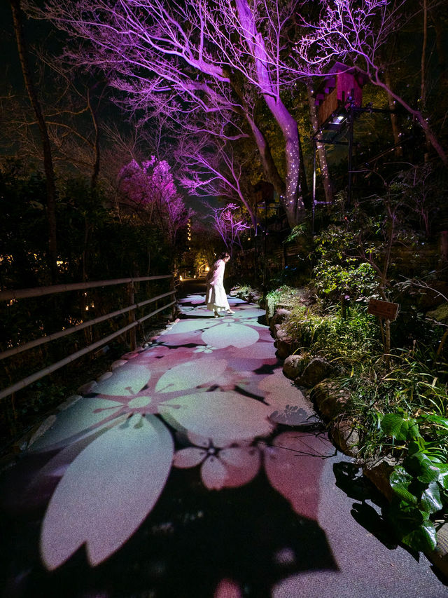 【春に見れる光のアート！🎨】桜の花びらが舞い散る演出が綺麗すぎる！🌸✨