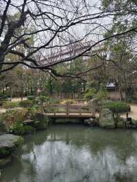 도심에 일본전통 정원풍경을 즐길 수 있는 다도카페🍵