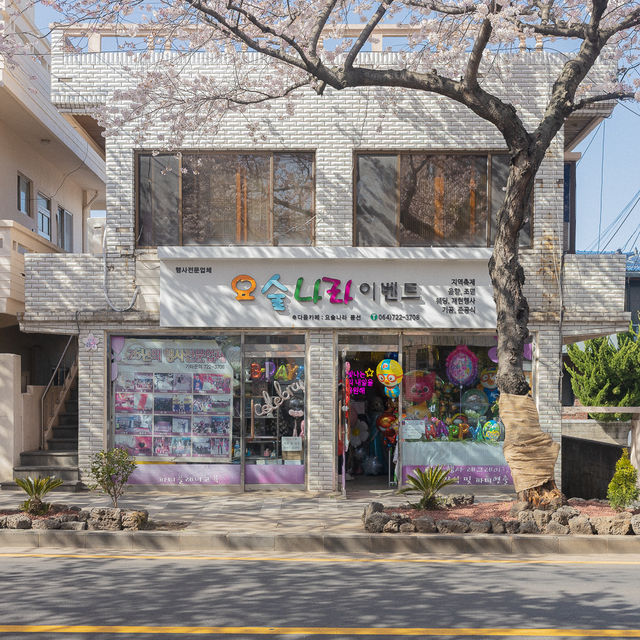 제주 최고의 벚꽃거리 전농로