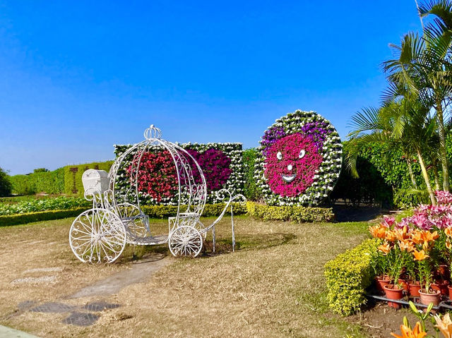 Zhongshe flower market 