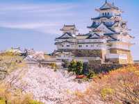 兵庫・姫路城櫻海