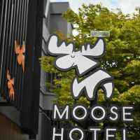 Moose Hotel nimman🫎เชียงใหม่