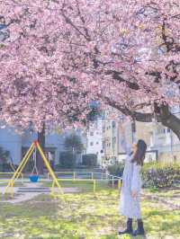 名古屋賞櫻秘點🌸 遊人少旅攝必去！