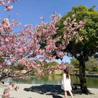 日本熊本景點｜賞櫻好地方之日式庭園🌸