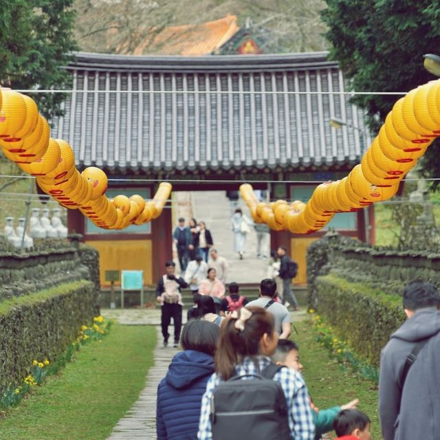 👍🏻 한라산의 숨은 보물, 관음사에서 평화를 찾다!