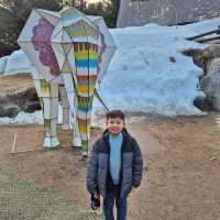 Trip To Nami Island