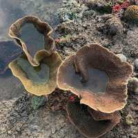 Tanjung Rhu's Enchanting Sandbar Stroll