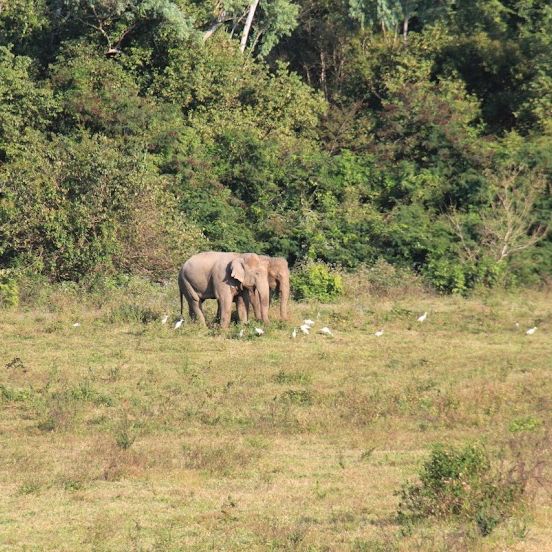 อุทยานแห่งชาติกุยบุรี