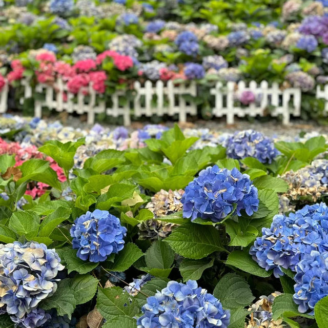 臺北台湖公園：湖光山色，適合野餐、散步和欣賞湖景