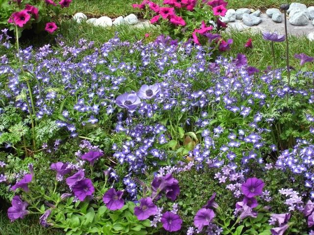 ヴィテルボの花祭り