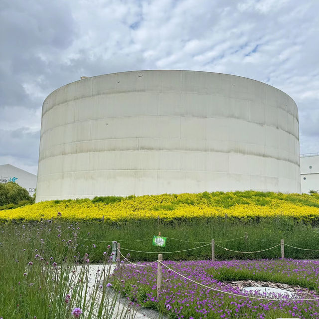 湊山公園：春天好去處，感受日式風韻