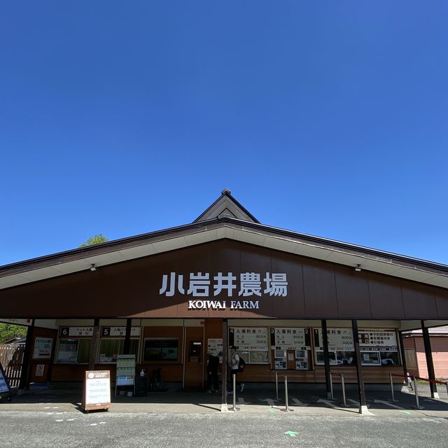 【小岩井農場】彩林館カフェ