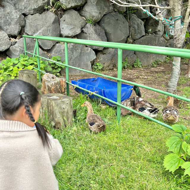 제주 봄에 가볼만한 곳, 제주도 놀이공원 <산방산랜드>